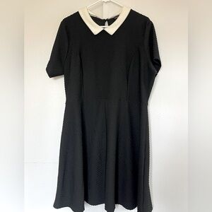 Dorothy Perkins Collared Dress